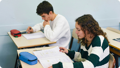 Préparation aux examens / concours à Vienne